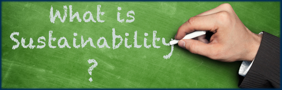SMEs have to know the means of sustainability to their organzations - atsiteinc.com pix